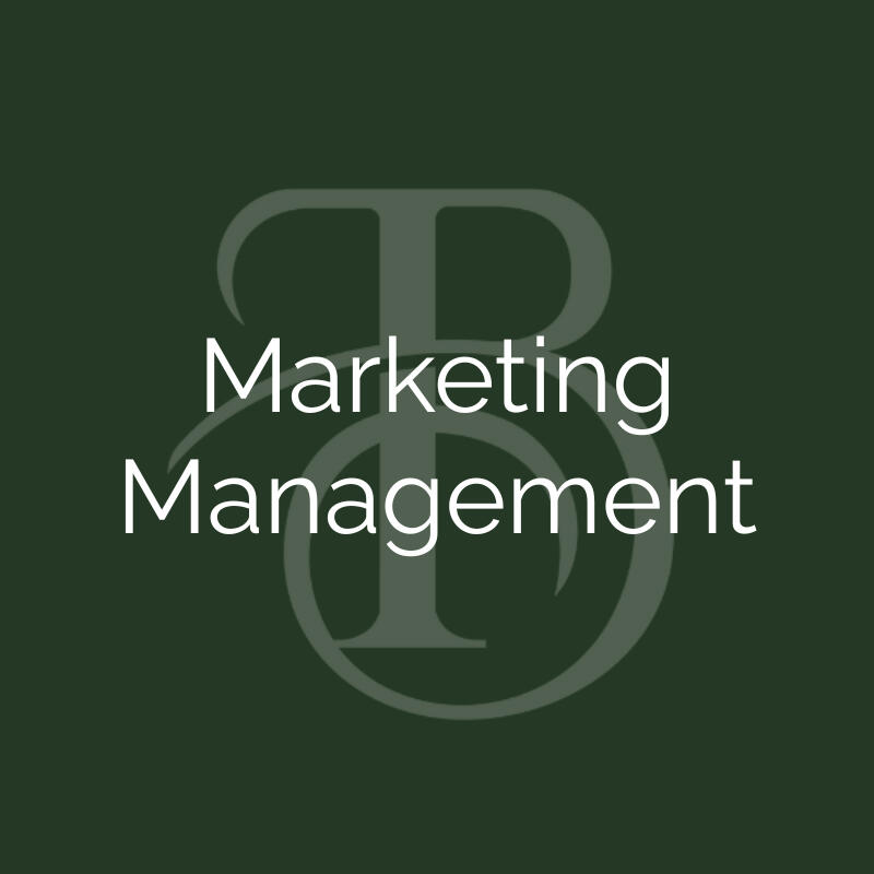 Platform Research • Team Leadership • Execution Strategy